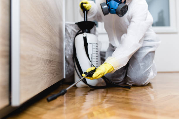 Best Pest Control for Businesses  in Ligh, NE