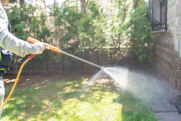 Best Emergency Pest Control  in Ligh, NE