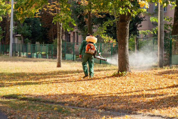 Best Commercial Pest Control Services  in Ligh, NE