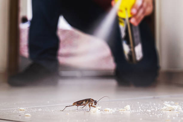 Best Best Pest Control Companies  in Ligh, NE