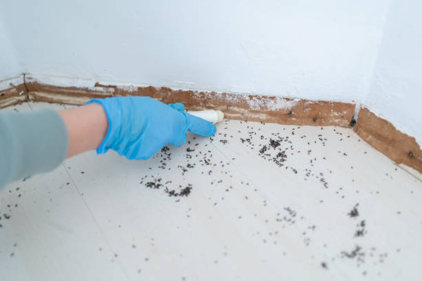 Best Affordable Pest Control Services  in Ligh, NE