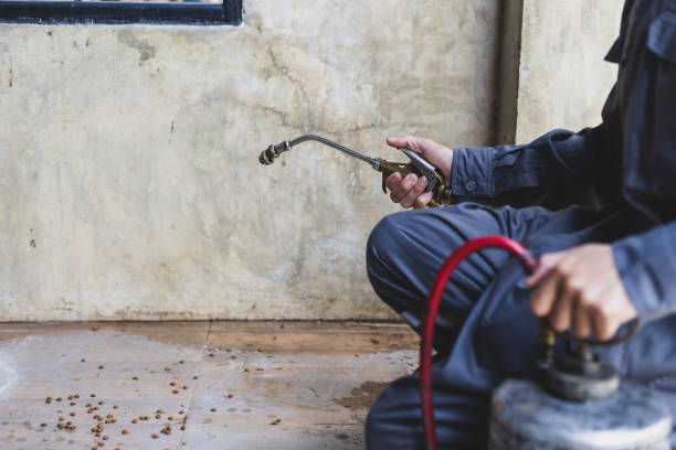 Best Best Pest Control Companies  in Ligh, NE
